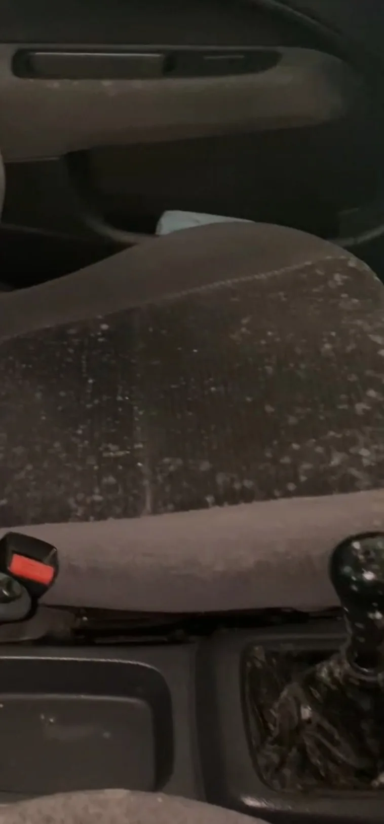 Vehicle mould contamination before detailing in Plymouth